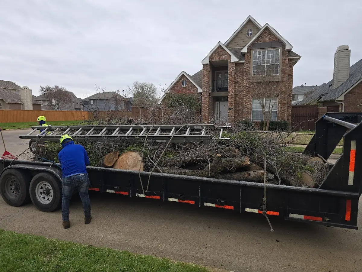 Expert Lot Clearing with proper safety equipment in Herndon